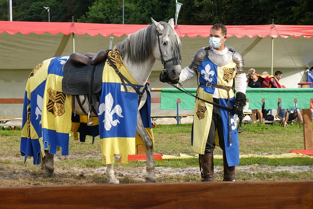 的比赛中 的比赛中