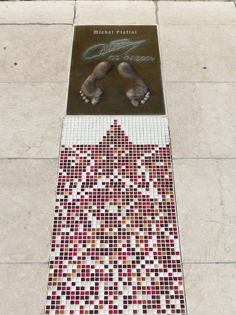 加全面融入 加全面融入