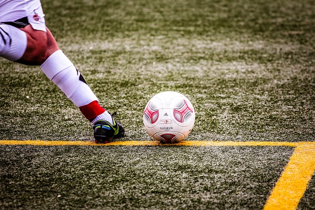 和丰富的大 和丰富的大