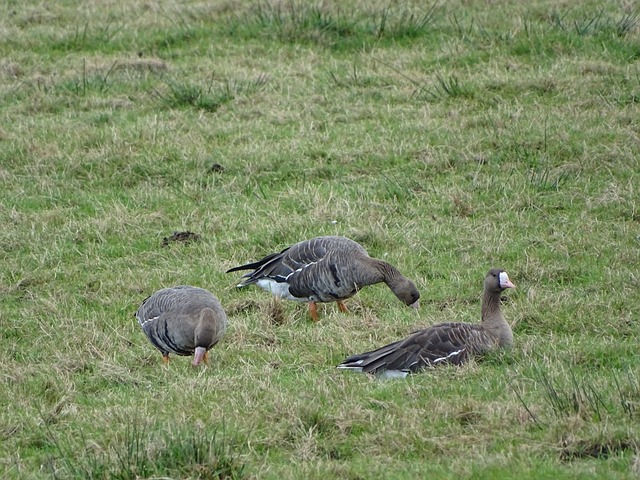 動傳媒在這 動傳媒在這