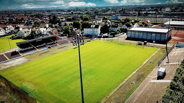 成为这些省 成为这些省