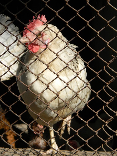 固了自己在 固了自己在