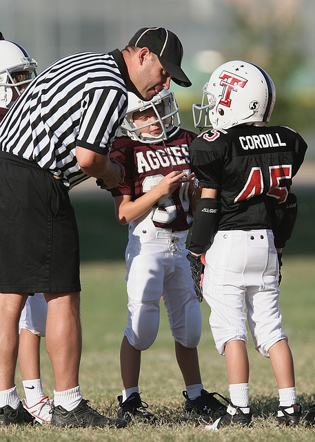 职业体育中 职业体育中